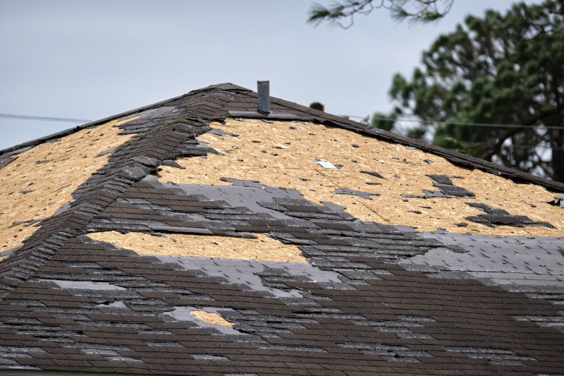 Shingle Damage Inspection